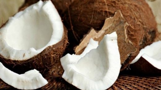 Hindistan Cevizi Yetiştiriciliği Nasıl Yapılır?